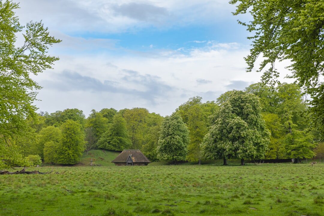 Rolling green fields and a small red brick farmhouse in the Danish countryside